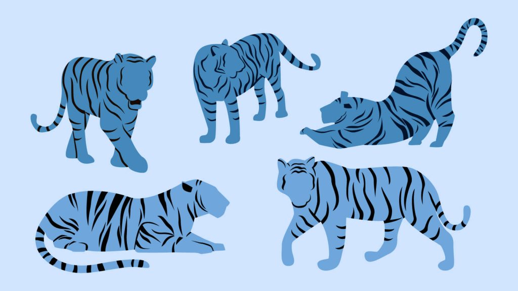 Blue water tiger vectors - edited from freebieAC