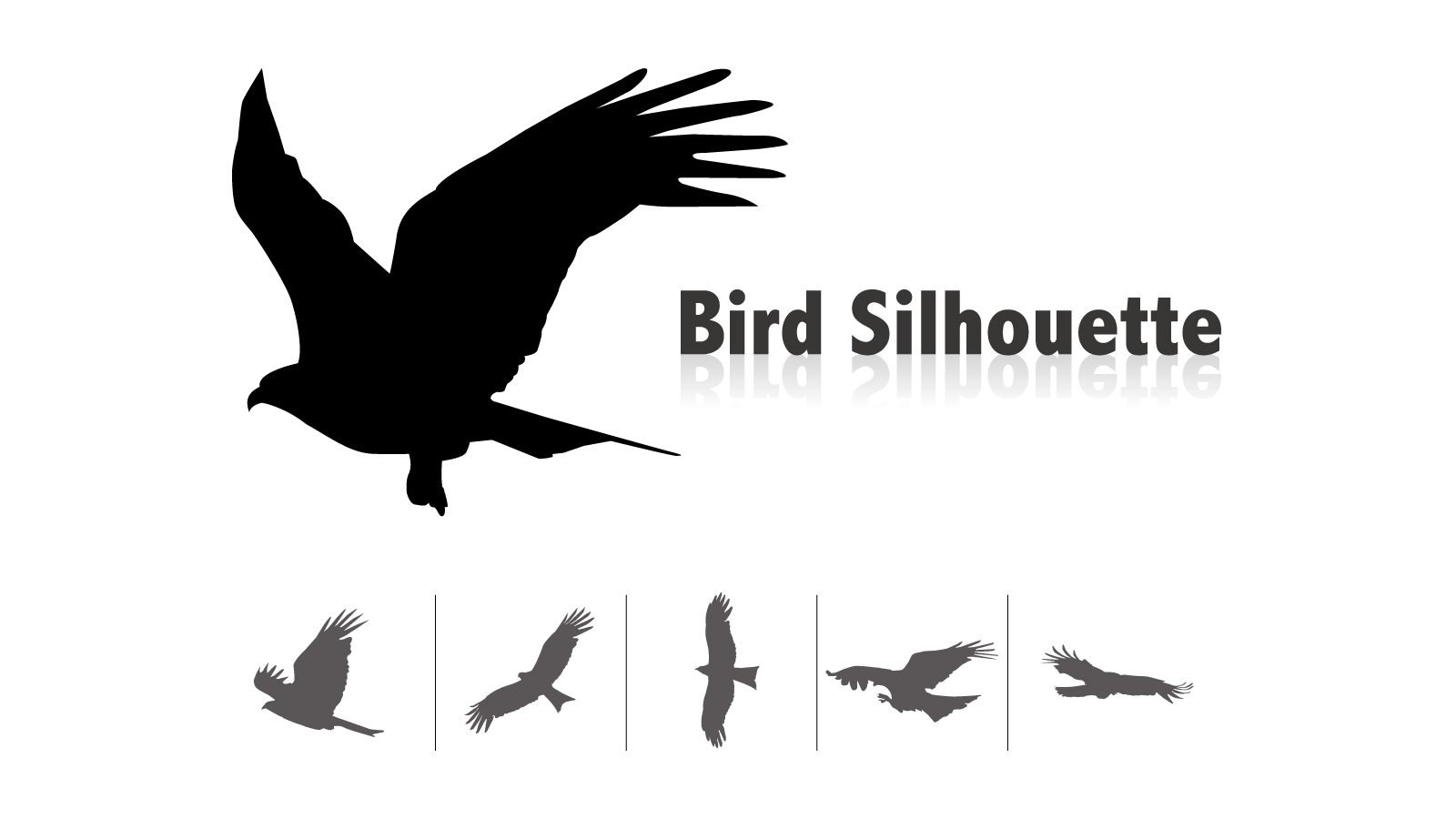 animal and bird silhouette