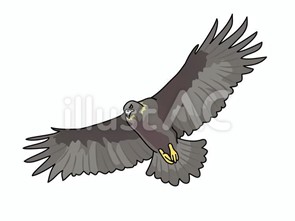 eagle logo clip art