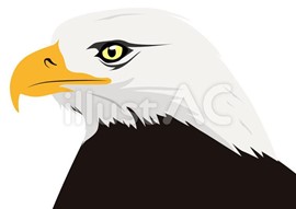 eagle logo clip art