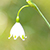 img-avatar
