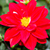 img-avatar